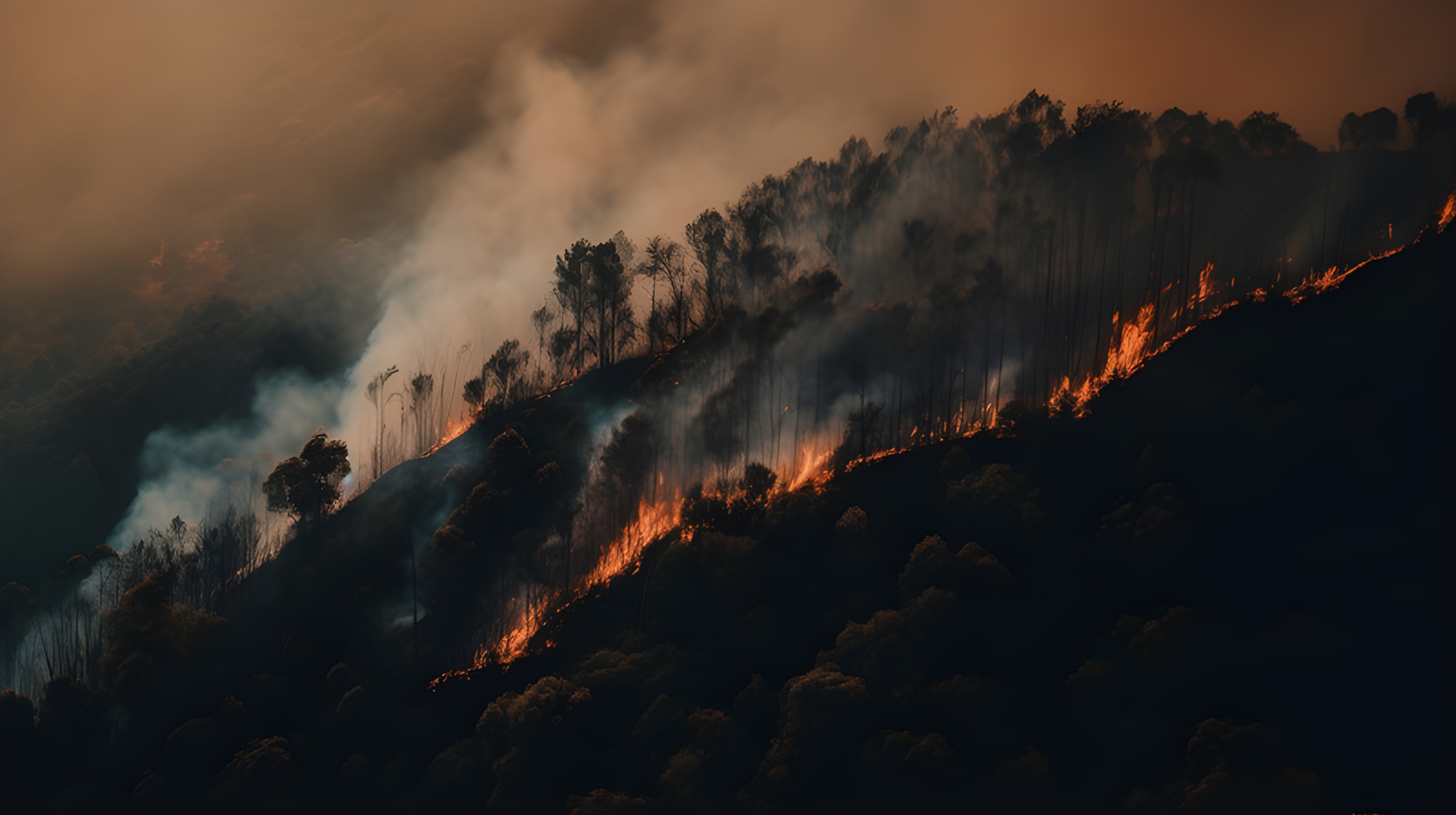 WildFire on a Mountain - Impossible Images - Unique stock images for ...