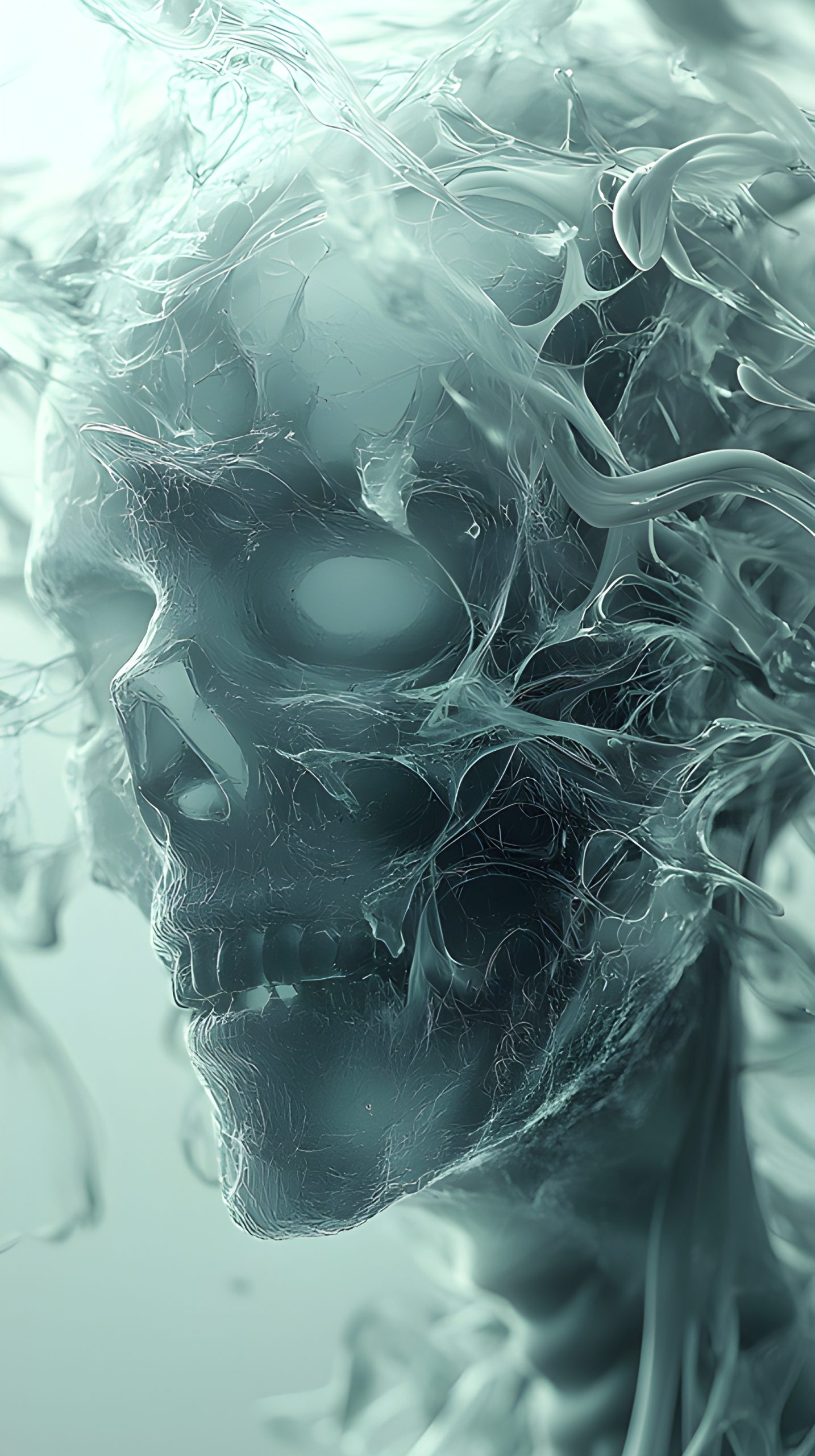 Liquid Skull Phantom
